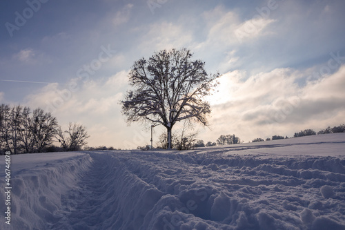 Winterlandscape with snow , tree and blue sky 