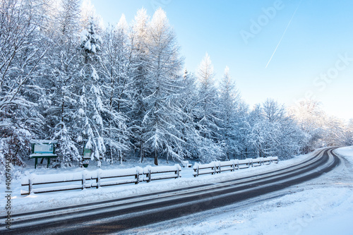 Zima śnieg droga ulica las kaszuby wieżyca