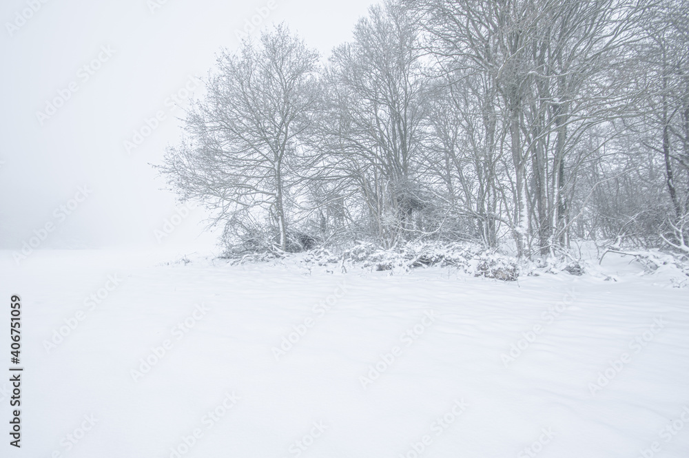 Fototapeta premium Winterlandschaft winterlandschaften winterlandschaft bilder winterlandschaft weihnachten winterlandschaft malen winterlandschaft deko winterlandschaft festgestellt winterlandschaft fensterbild winterl