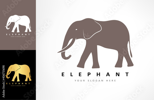 Elephant logo vector. Animal design.