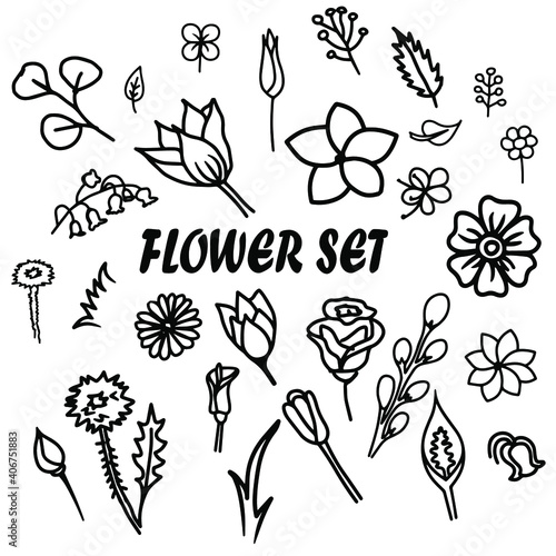 Fototapeta Naklejka Na Ścianę i Meble -  Flowers vector hand drawn floral  doodle set  of elements black and white