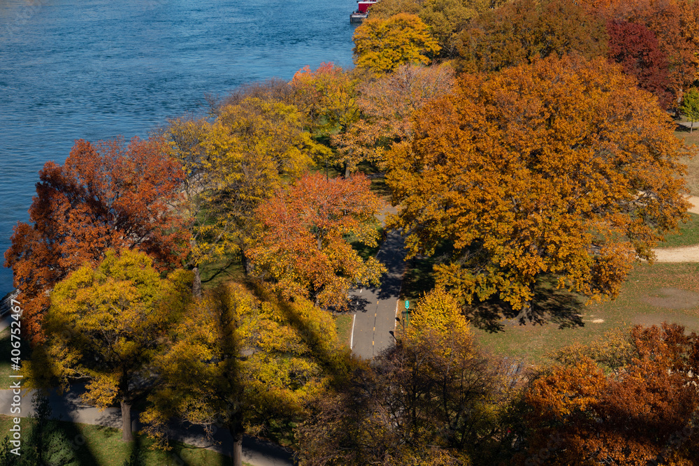 Colorful Trees at Queensbridge Park during Autumn along the East River in Long Island City Queens New York