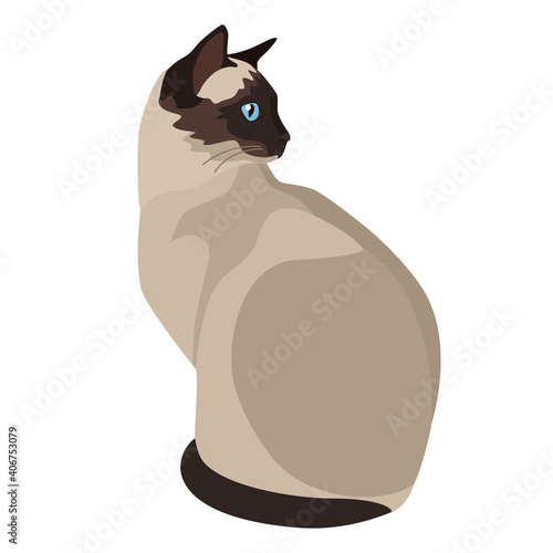 Bilde på lerret Siamese cat Flat vector illustration Isolated object