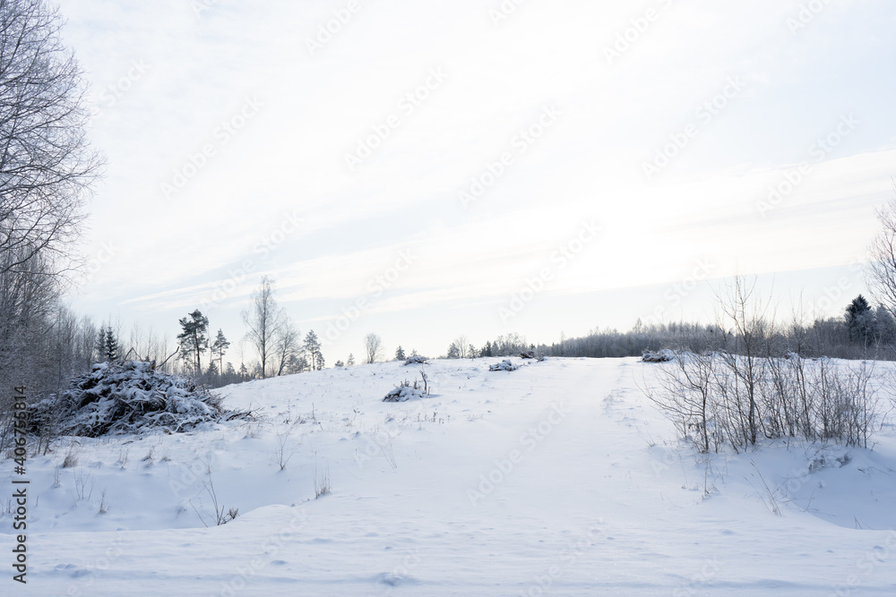 snowy Latvian landscape with forest and a few feet of snow snowy Latvian landscape with forest and a few feet of snow