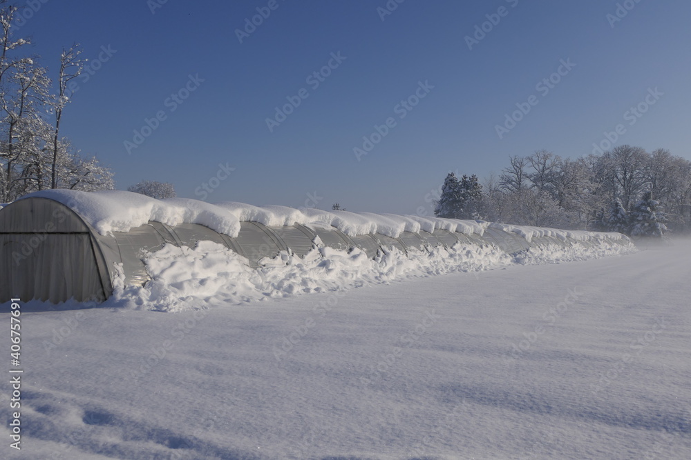 Snowy greenhouse and agricultural field on a sunny day Snowy greenhouse and agricultural field on a sunny day