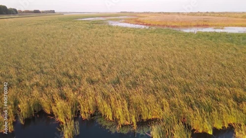 Aerial footage of lake and reed photo