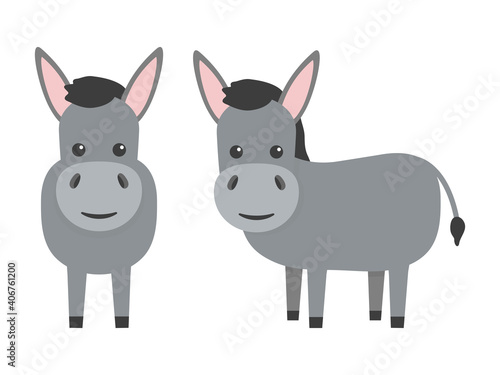 Donkeys flat character set. Cute farm animals. Vector cartoon illustration isolated on white