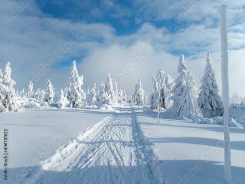 Obraz na plátne beautiful winter weather in czech krkonose mountains