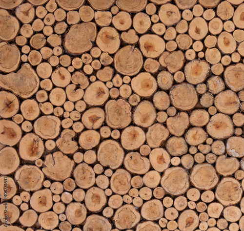 Background of a cut of coniferous trees.