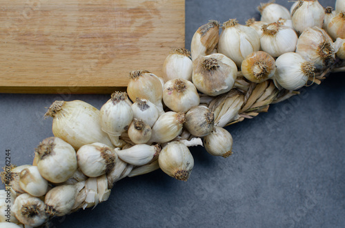 A row of garlic on a gray background. Healthy food concept, folk medicine, harvest. Copy space