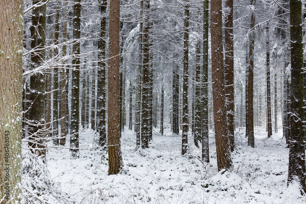 Winterlandschaft mit Neuschnee Winterlandschaft mit Neuschnee