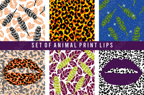 set of animal skin patterns