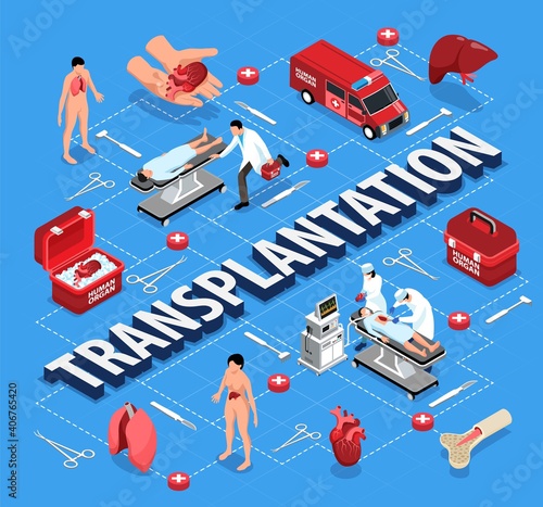 Organ Transplantation Flowchart Composition