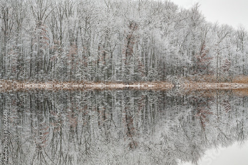 Winter landscape of the snow flocked shoreline of Deep Lake with mirrored reflections in calm water, Yankee Springs State Park, Michigan, USA