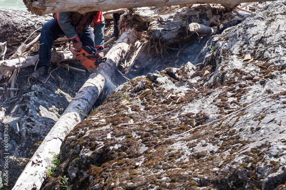 A strong male worker is sawing a fallen log with a chainsaw on a rocky bank. A strong male worker is sawing a fallen log with a chainsaw on a rocky bank.
