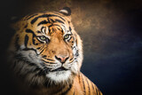 portrait of a tiger with bright eyes