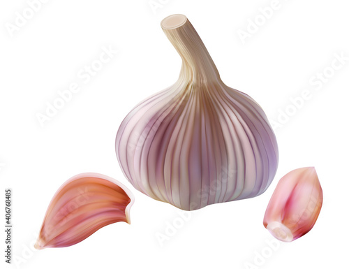 Realistic garlic bulb and clove isolated on white. Vector illustration of spice seasoning plant.
