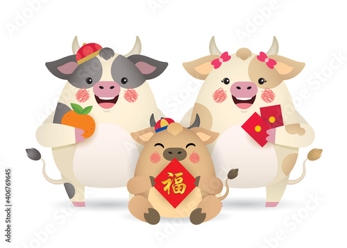 Cute cartoon cow family holding tangerine, red packet and chinese couplet isolated on white background. 2021 chinese new year - year of the ox flat vector illustration. (translation: blessing)