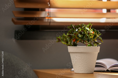 Beautiful potted Goldfish plant on wooden table indoors. Space for text