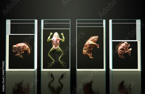 Animal samples dead by vivisection in crystal cases isolated on black background, 3d illustration, 3d rendering photo