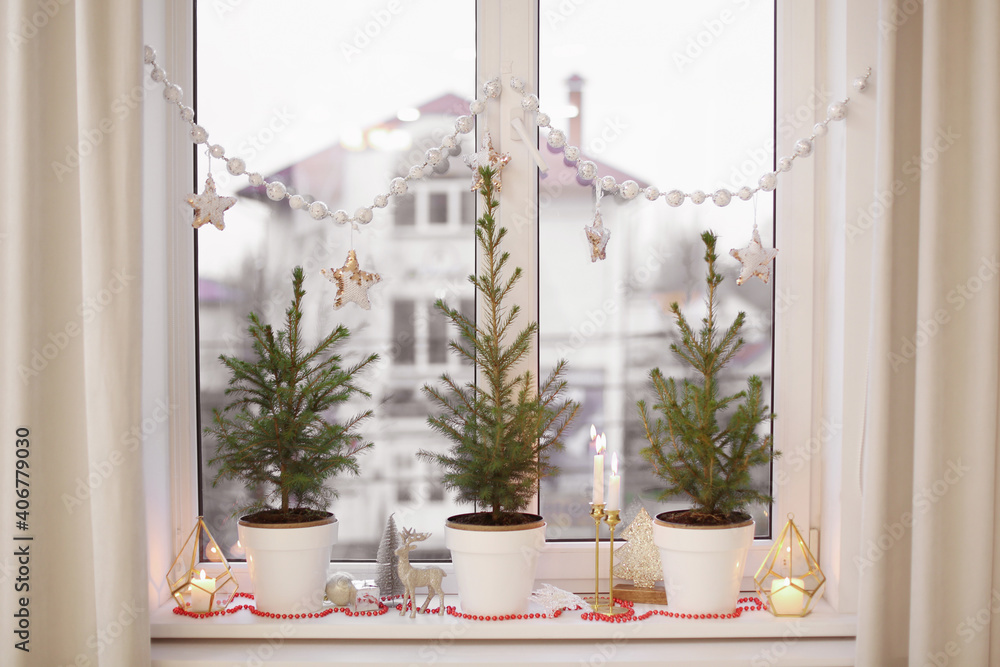 Small potted fir trees and Christmas decor on window sill indoors Small potted fir trees and Christmas decor on window sill indoors
