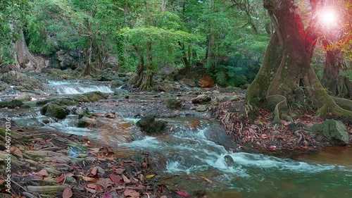 Beautiful waterfall in tropical summer rain-forest or green jungle with clean water stream n rock stone in sunlight ray n pastel pink bokeh sun light flare effect , 4k cinemagraph b-roll footage video