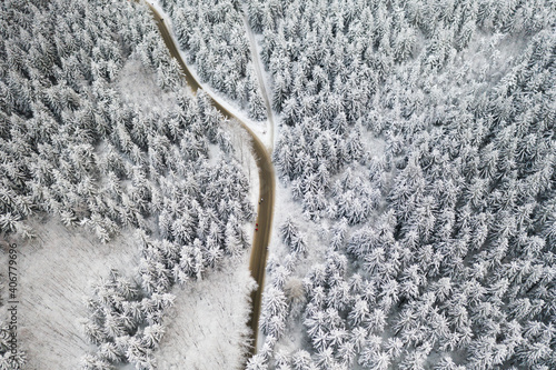 Aerial view of the empty road in the winter forest with high pine or spruce trees covered by snow. Driving in winter