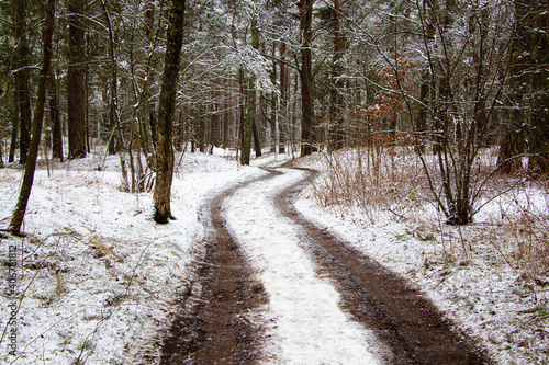 winding road in the winter forest, ecology, cleanliness. © mihail39
