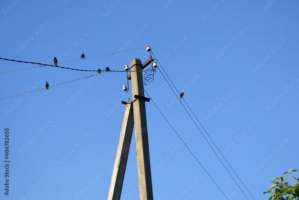 power lines and wires небо провода электричестно украина природа птици птица технология
sky wire electrical ukraine nature birds bird technology power lines and wires небо провода электричестно украина природа птици птица технология
sky wire electrical ukraine nature birds bird technology