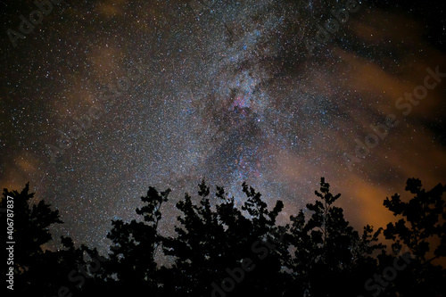 Milkyway and forest