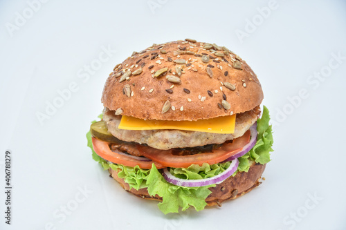 Fresh tasty burger with onions and tomatoes 