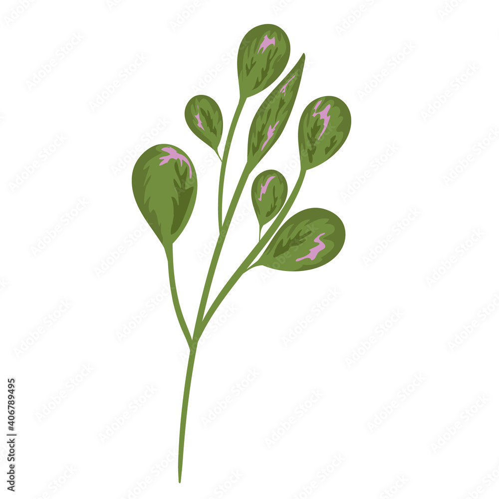 branch foliage nature growth decoration painting isolated design branch foliage nature growth decoration painting isolated design