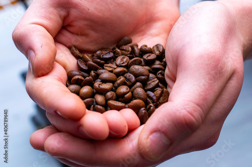 whole coffee beans in the palms of a person