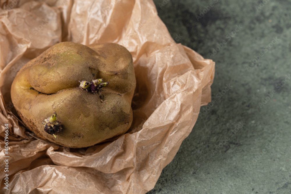 sprouts on deformed potatoes. Potato seeds on vegetables. Food waste concept