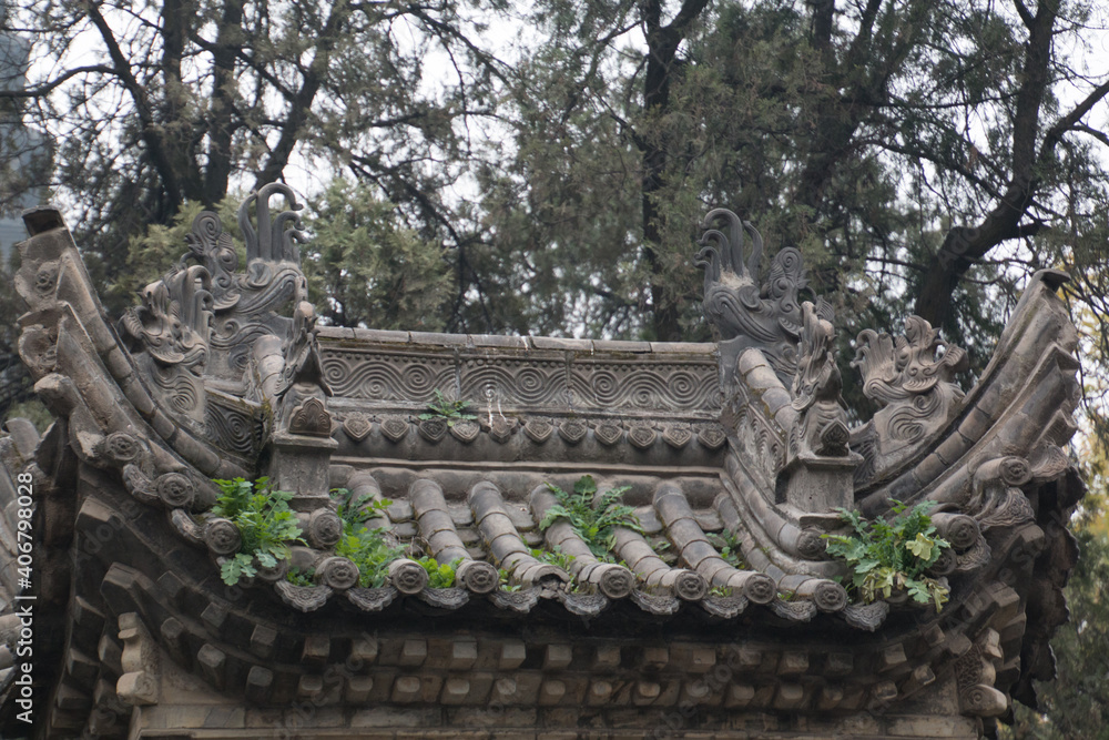 Tejas grises de casa china antigua con vegetación foto de Stock | Adobe  Stock