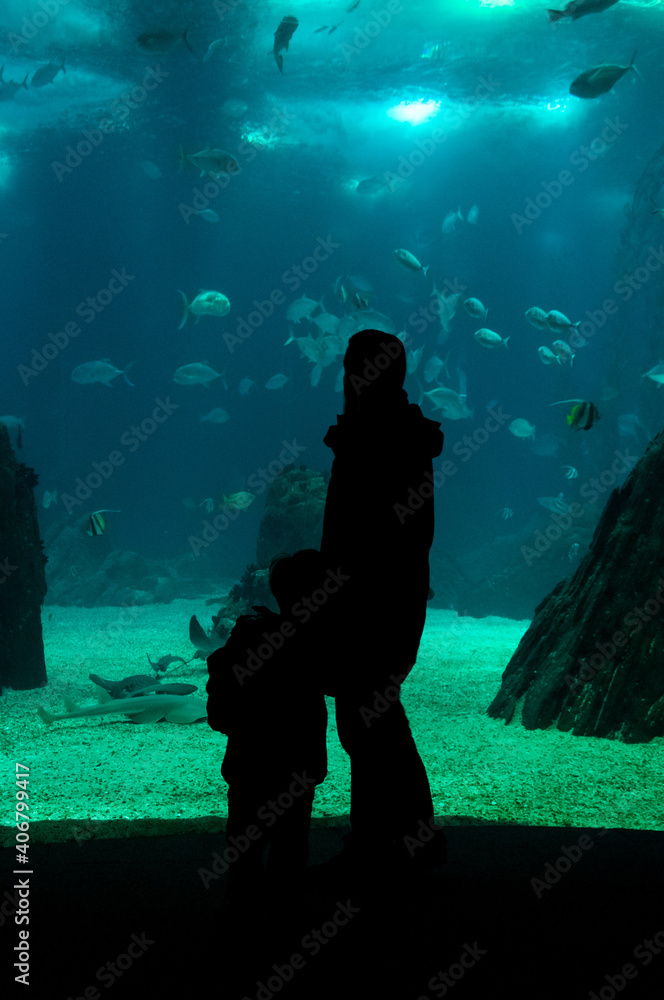 Rear view of silhouette father and son standing by fish tank at an aquarium