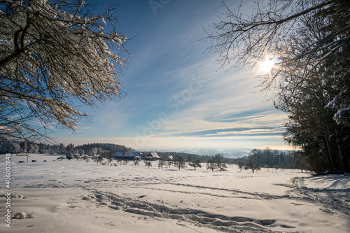 Snowshoe tour at the Gehrenberg near Lake Constance