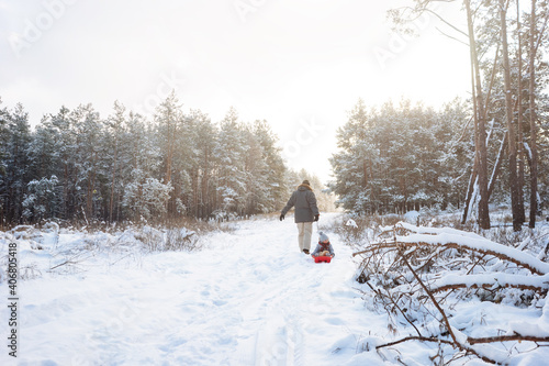 Rear view of a man pulling his child on sled through snowy forest.