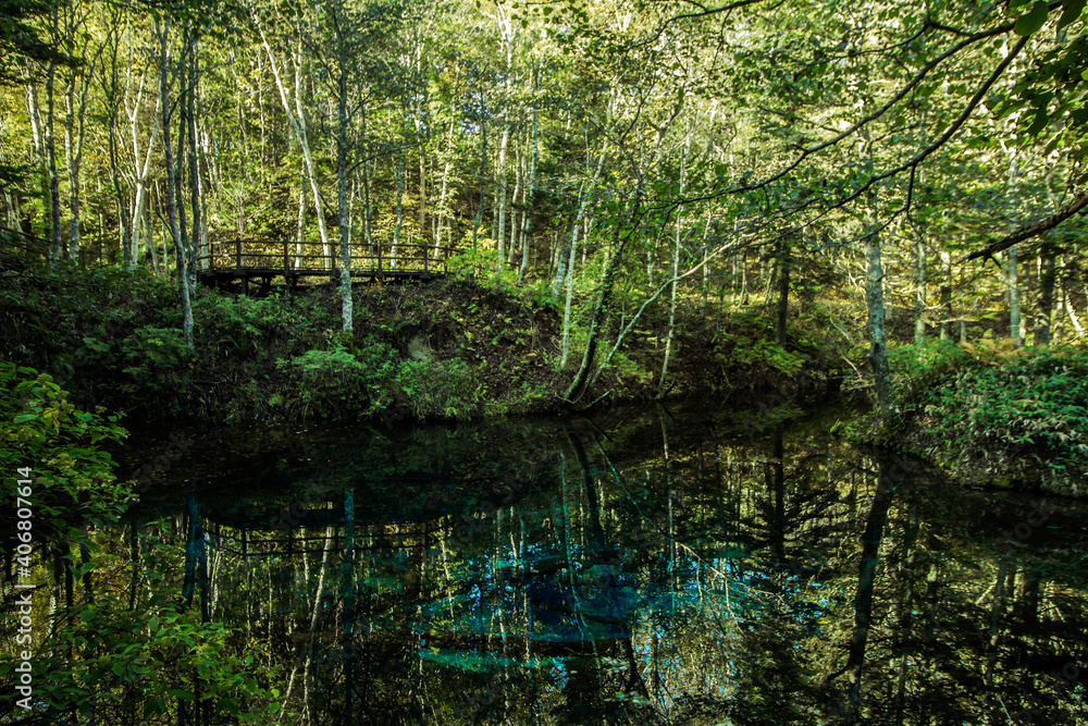 Scenery of Scenery of