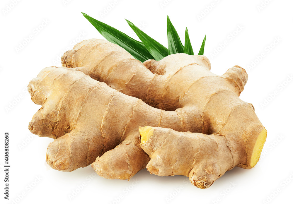 Ginger root with leaves isolated on white background Ginger root with leaves isolated on white background