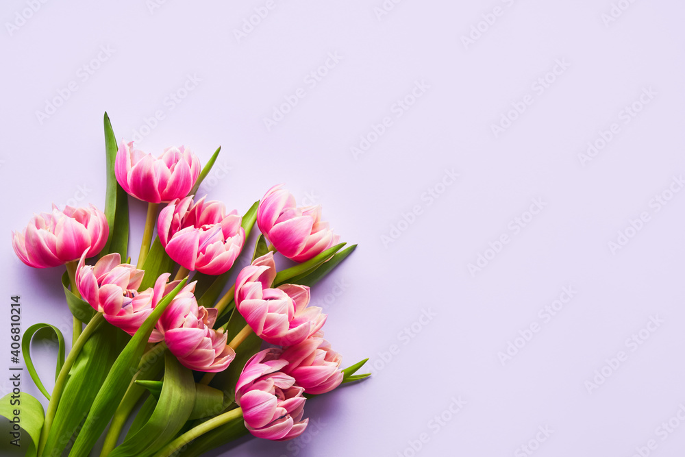 Fototapeta premium Pink tulips flowers bouquet on a light lilac background. Valentines Day, Mothers Day, and Birthday celebration concept.