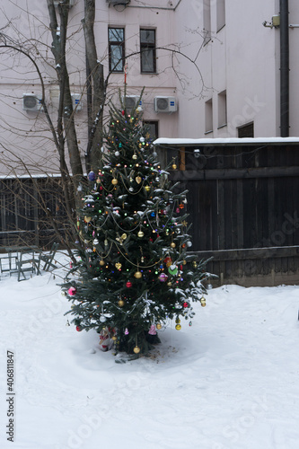 christmas tree in the snow © STOCKIMAGE