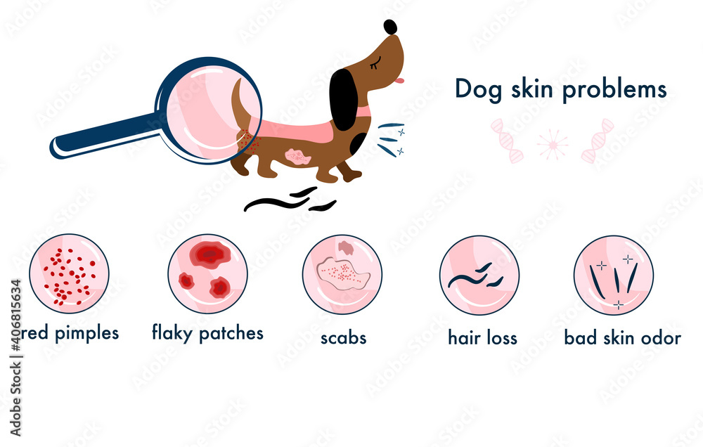 scab-on-dog-skin-bumps
