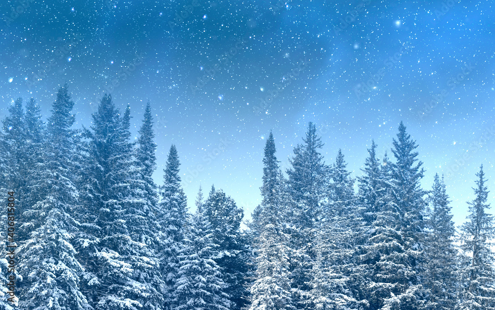 Magic night with starry sky over forest covered by snow Magic night with starry sky over forest covered by snow
