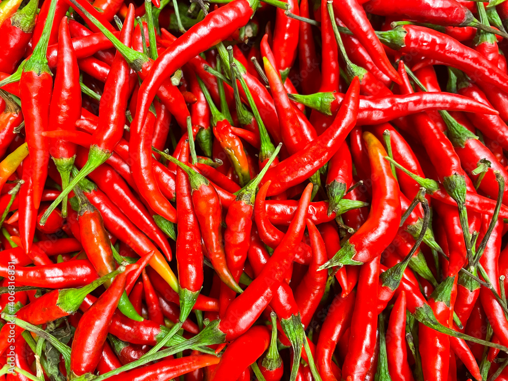 bunch of red hot chili peppers, full frame bunch of red hot chili peppers, full frame