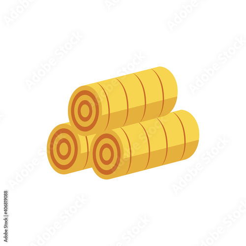 Rolls of hay, stacked of round bales with yellow straw on agriculture farm.