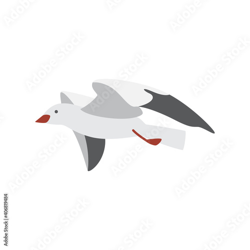 Free hovering in sky flying sea gull a vector isolated illustration