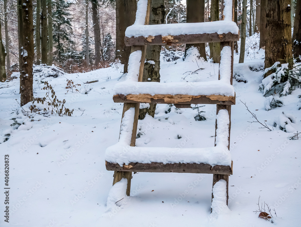Wooden ladder covered with snow in the woods leaned against a tree.