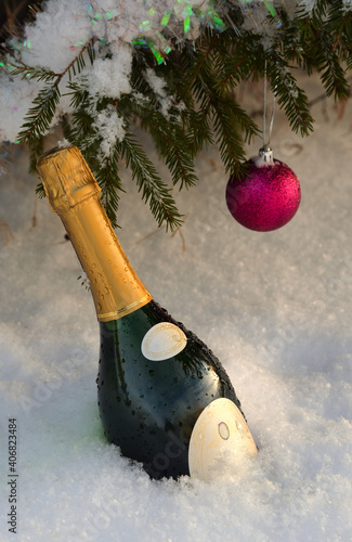 Bottle of champagne in snow and crimson ball on snow-covered branch of christmas tree 