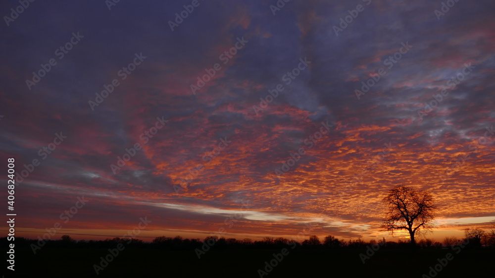 Fototapeta premium Sunset in the fields 